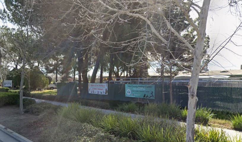 Yolo County Animal Services Shelter