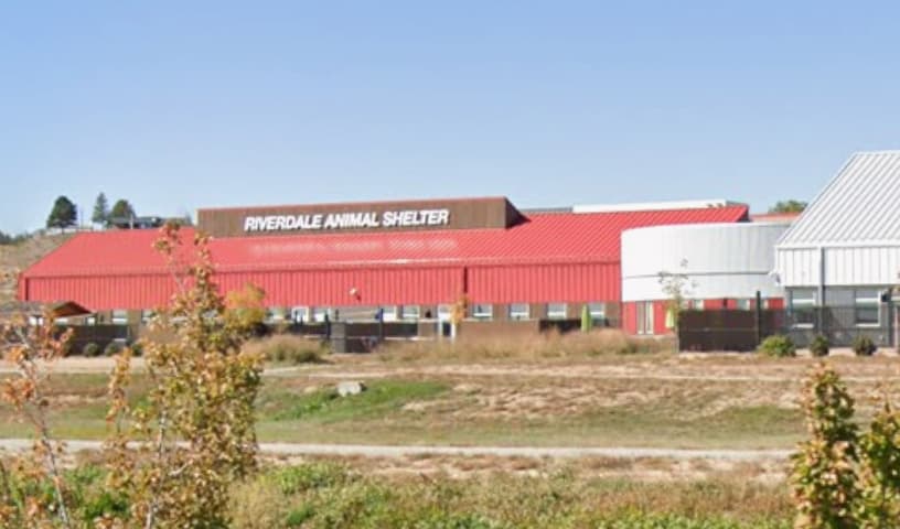 Riverdale Animal Shelter