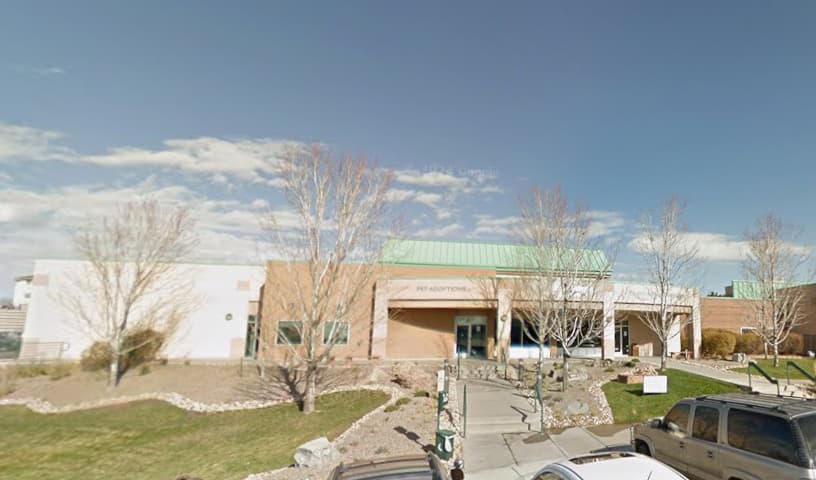 Humane Colorado’s Buddy Center