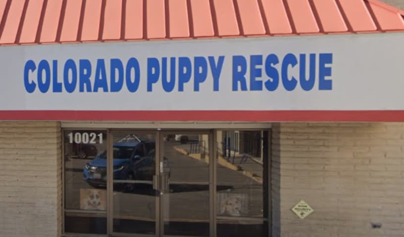 Colorado Puppy Rescue