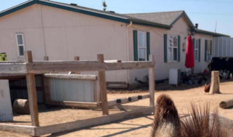 GingerSnap Rescue Ranch