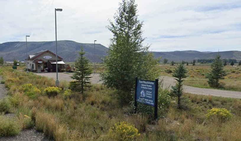 Gunnison Valley Animal Welfare League (GVAWL)