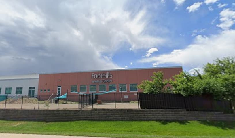 Foothills Animal Shelter