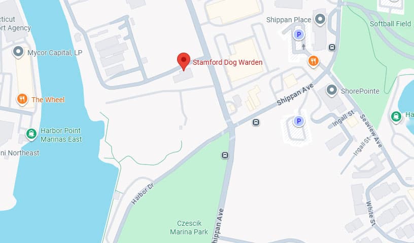 Stamford Dog Warden