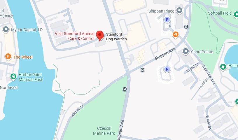 Visit Stamford Animal Care & Control