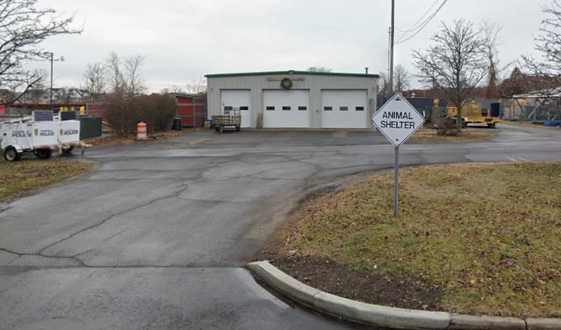 Fairfield Animal Control