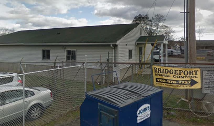 Bridgeport Animal Control