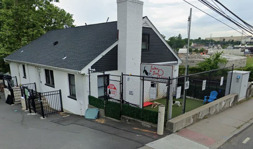Lucky Dog Refuge