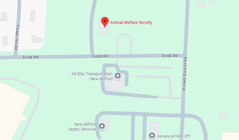 Animal Welfare Society