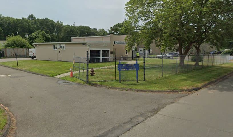 East Haven Animal Shelter