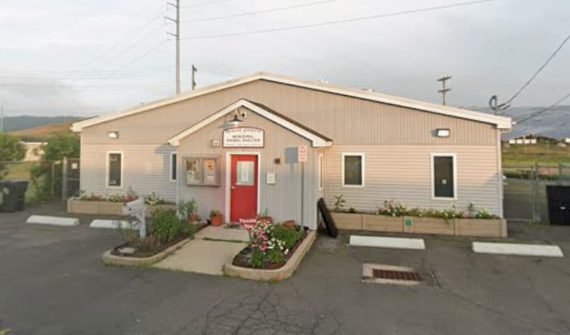 Wallingford Animal Shelter