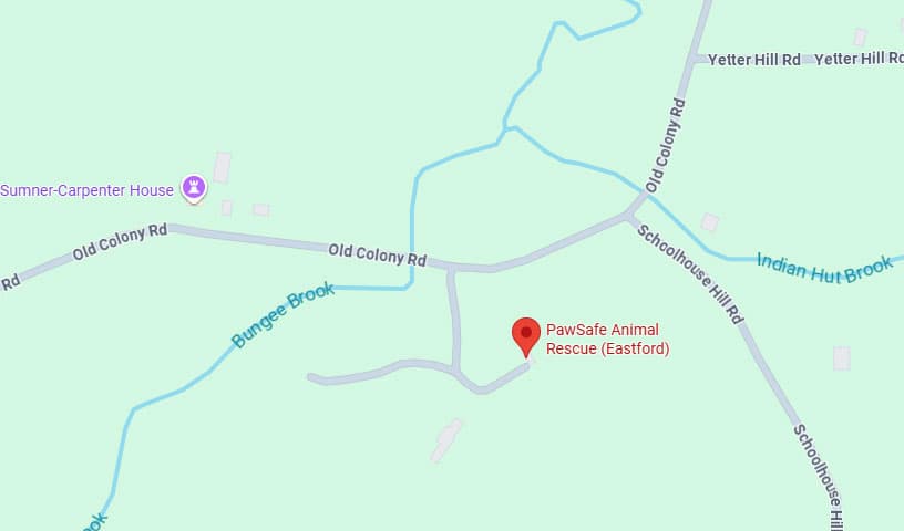 PawSafe Animal Rescue (Eastford)
