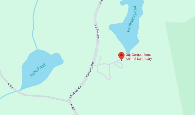 Our Companions Animal Sanctuary