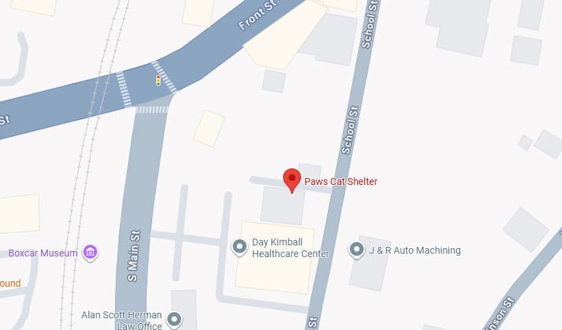 Paws Cat Shelter