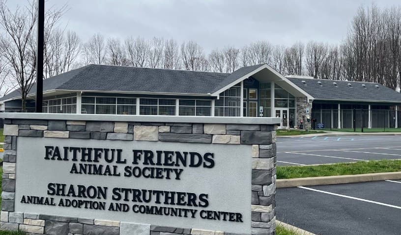 Faithful Friends Animal Society