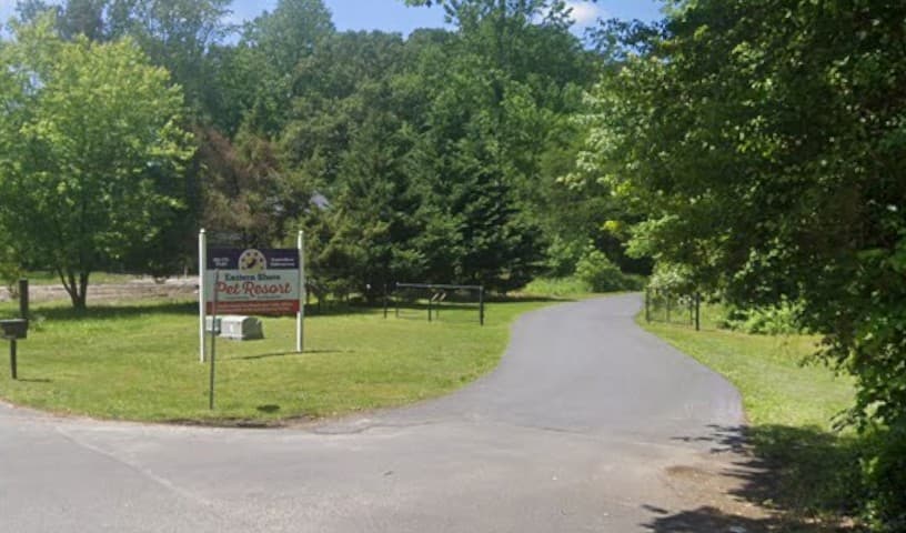 Brandywine Valley SPCA