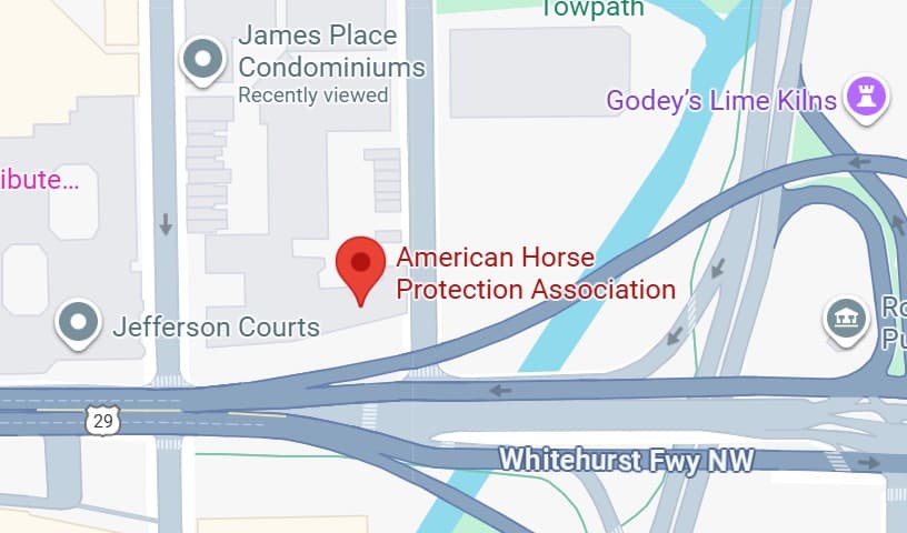 American Horse Protection Association