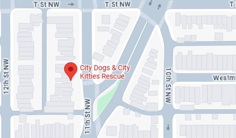 City Dogs & City Kitties Rescue