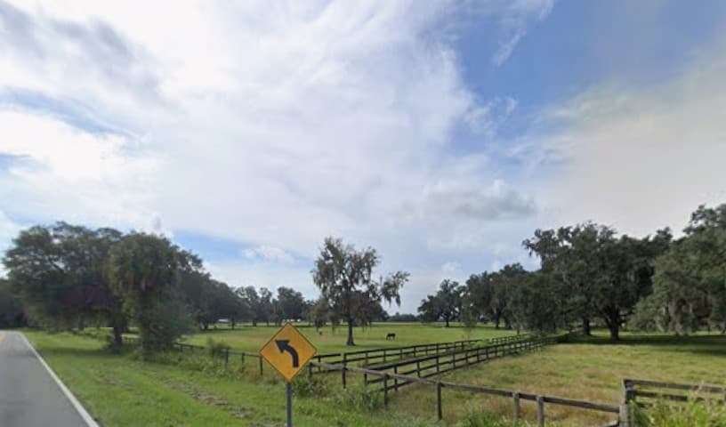 Horse Protection Association of Florida