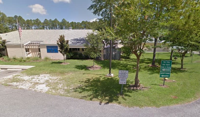 Alachua County Animal Resources & Care