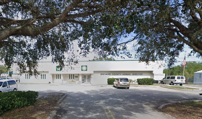 Brevard County Sheriff's Office Animal Services