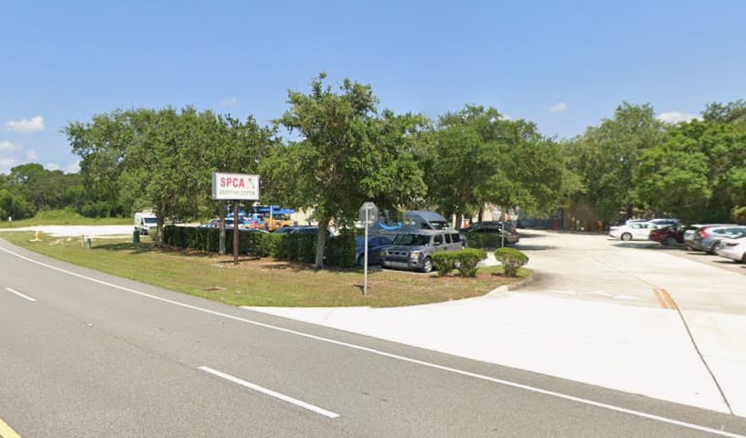 SPCA of Brevard