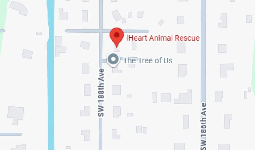 iHeart Animal Rescue
