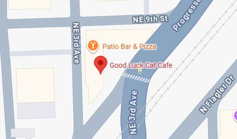Good Luck Cat Cafe