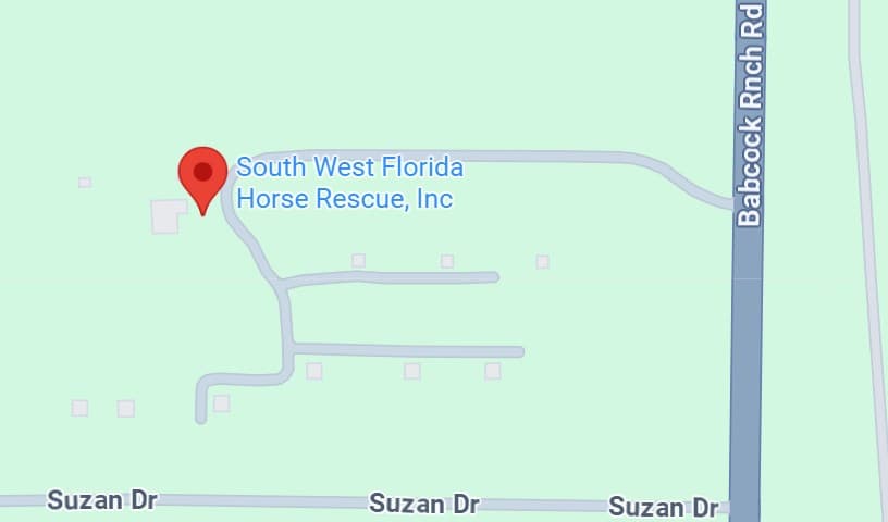 South West Florida Horse Rescue, Inc.