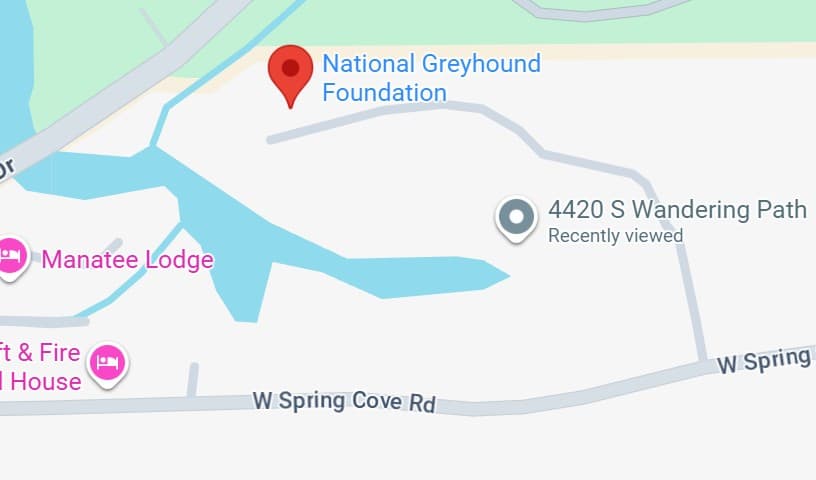 National Greyhound Foundation