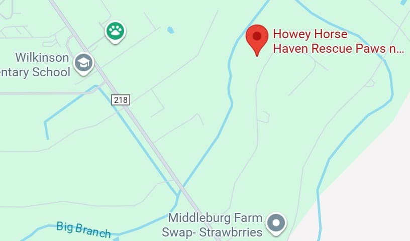 Howey Horse Haven Rescue Paws n Claws Division