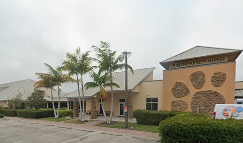 Patty Baker Humane Society Naples: Main Shelter