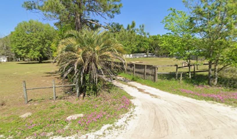 Star Canine and Equine Rescue Inc.