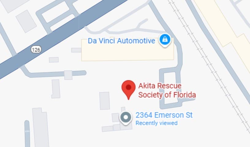 Akita Rescue Society of Florida