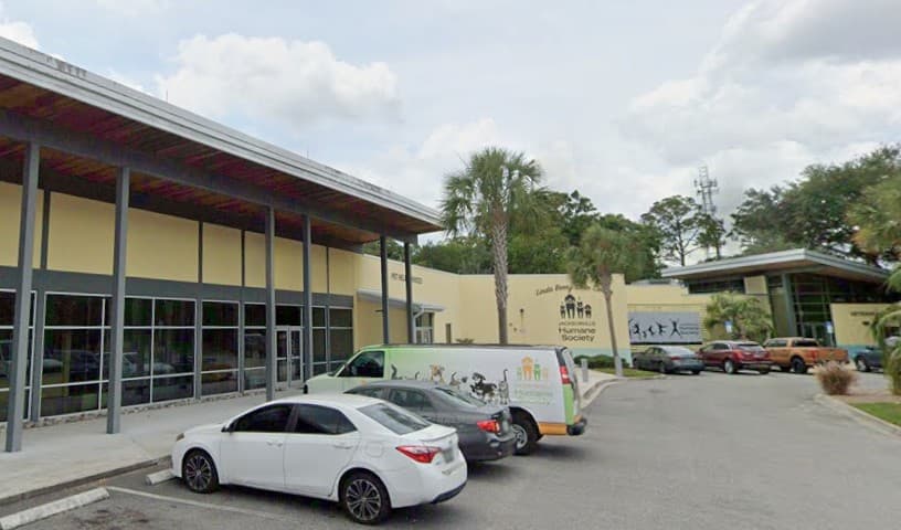 Jax Humane Fostering