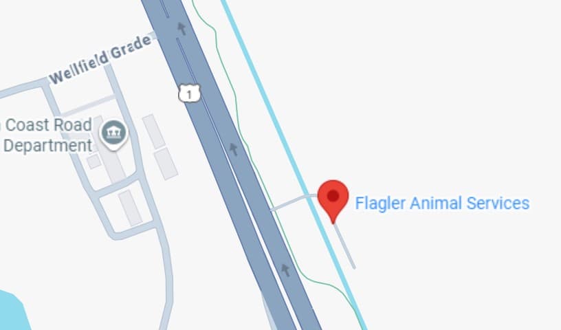 Flagler Animal Services