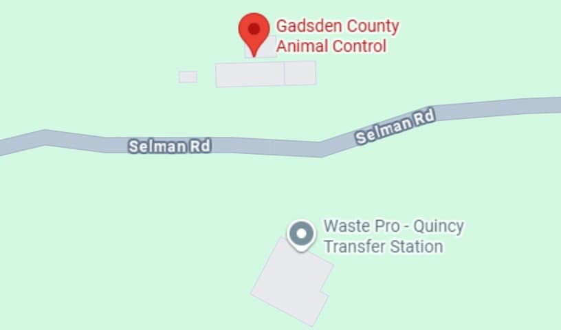 Gadsden County Animal Control