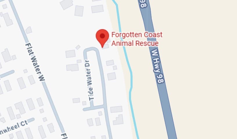 Forgotten Coast Animal Rescue
