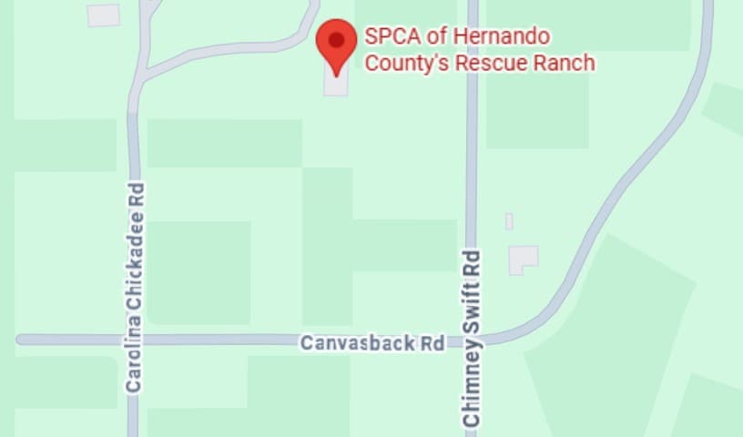 SPCA of Hernando County's Rescue Ranch