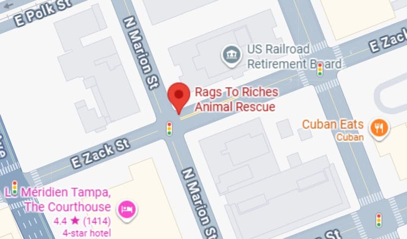 Rags To Riches Animal Rescue