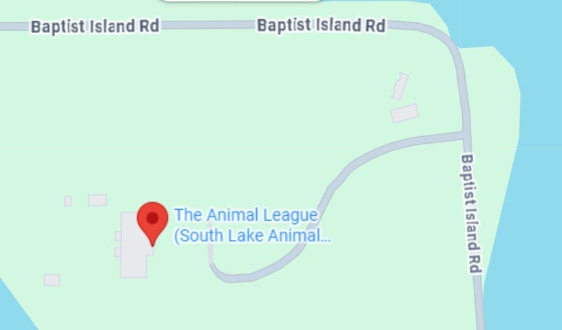 The Animal League (South Lake Animal League)