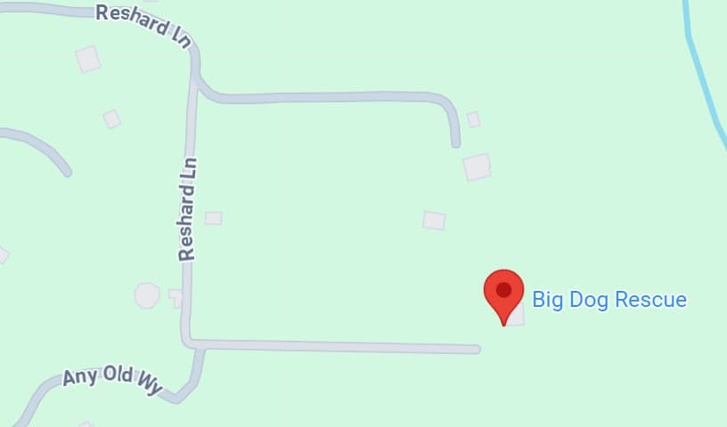 Big Dog Rescue