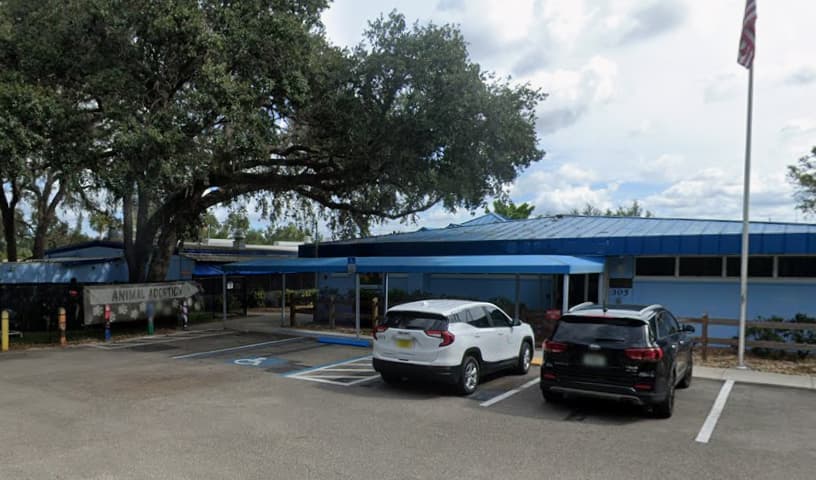 Manatee County Animal Welfare
