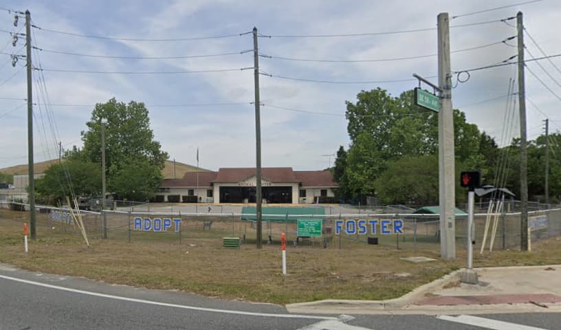 Marion County Animal Services