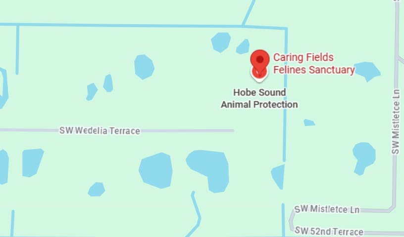 Caring Fields Felines Sanctuary
