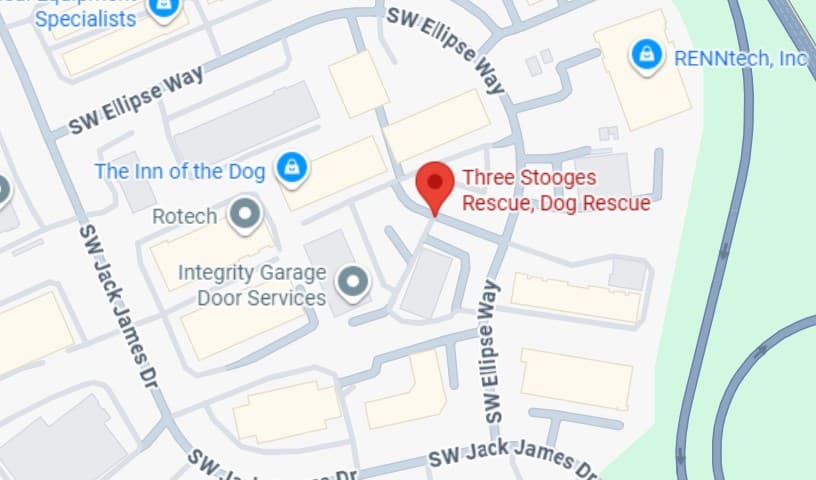 Three Stooges Rescue, Dog Rescue