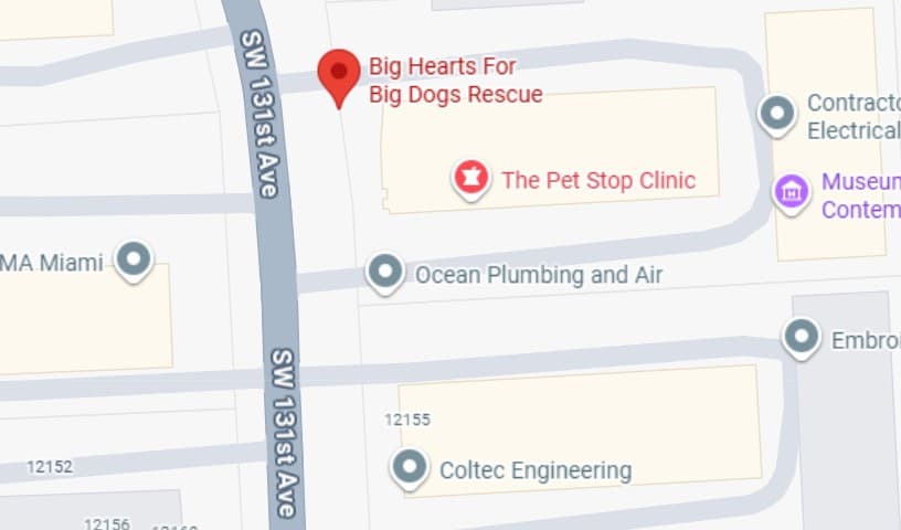 Big Hearts For Big Dogs Rescue