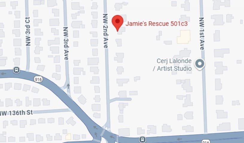 Jamie's Rescue 501c3