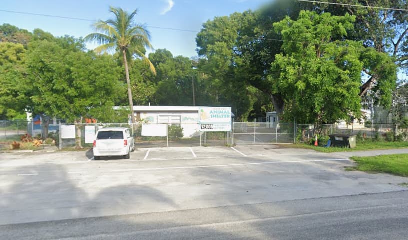 Humane Animal Care Coalition