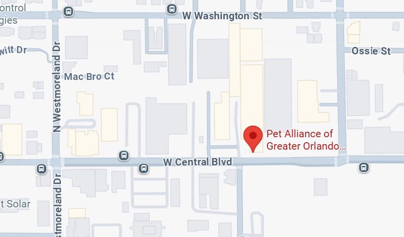 Pet Alliance of Greater Orlando Downtown Cat Shelter